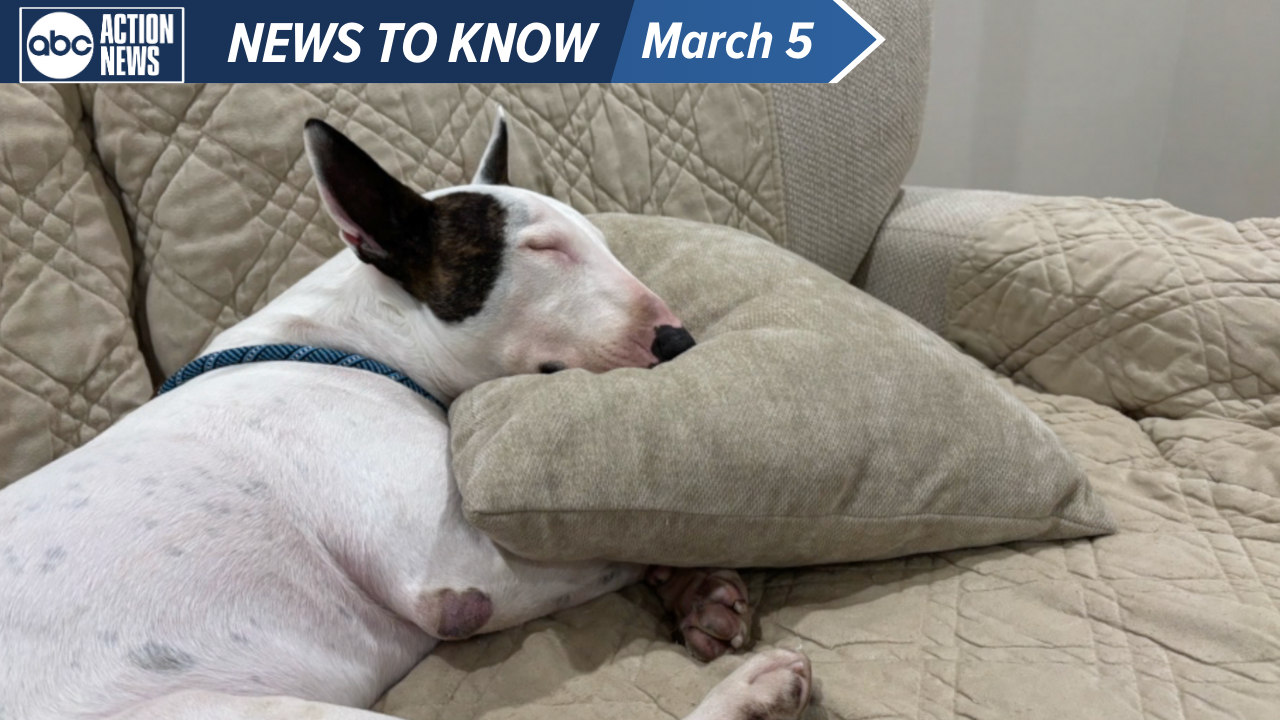 WHAT YOU NEED TO KNOW FOR (68).png