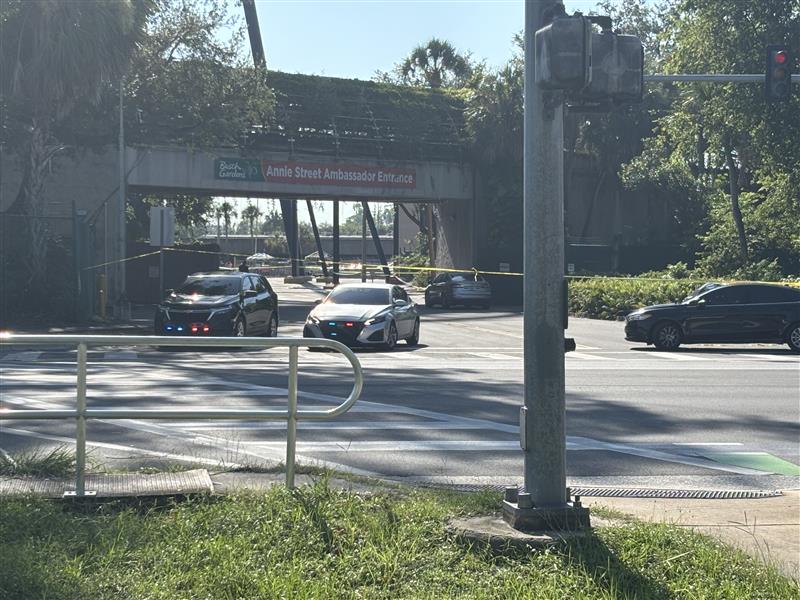 Tampa shooting