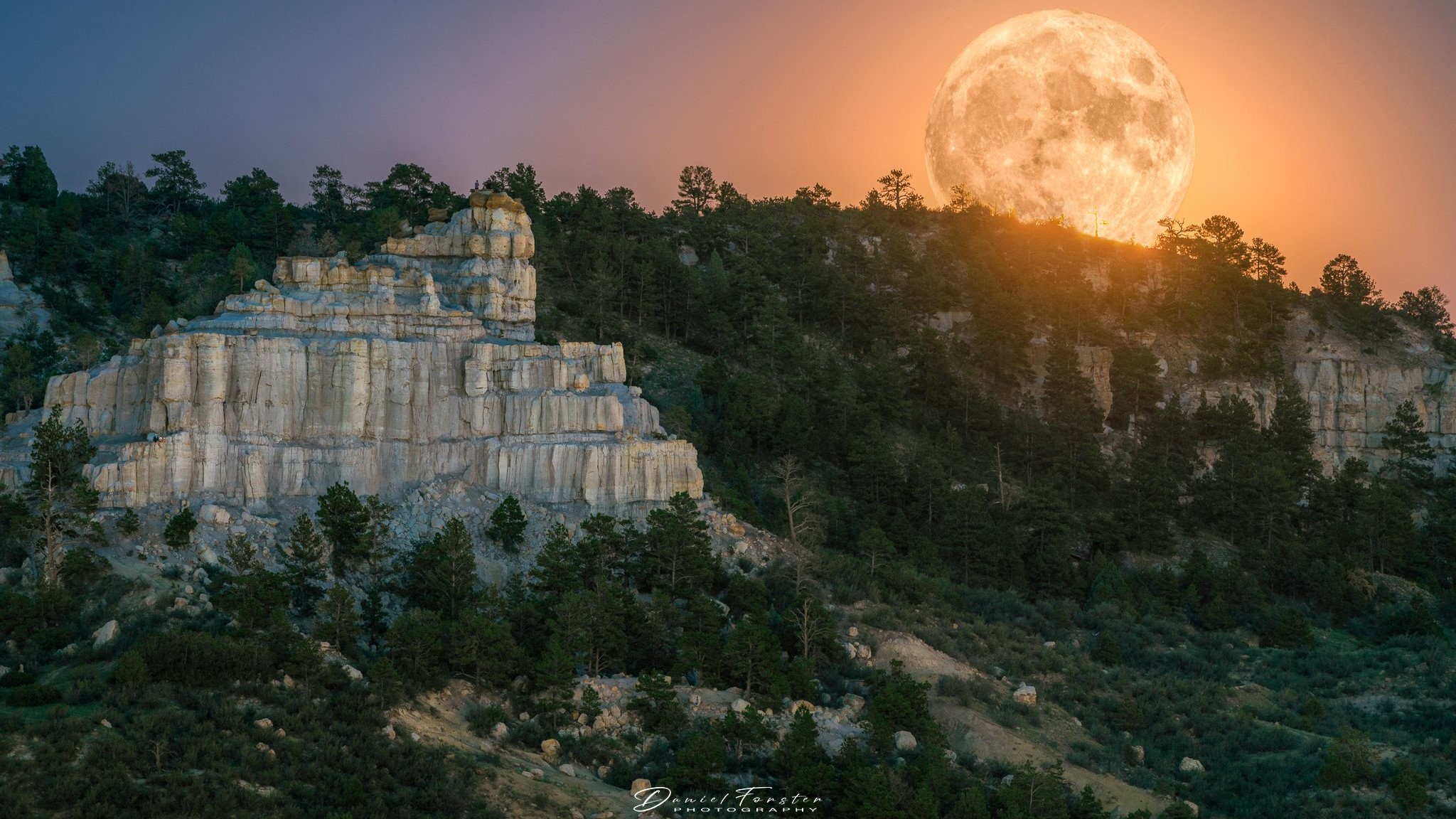 Daniel Forster Sturgeon Moon