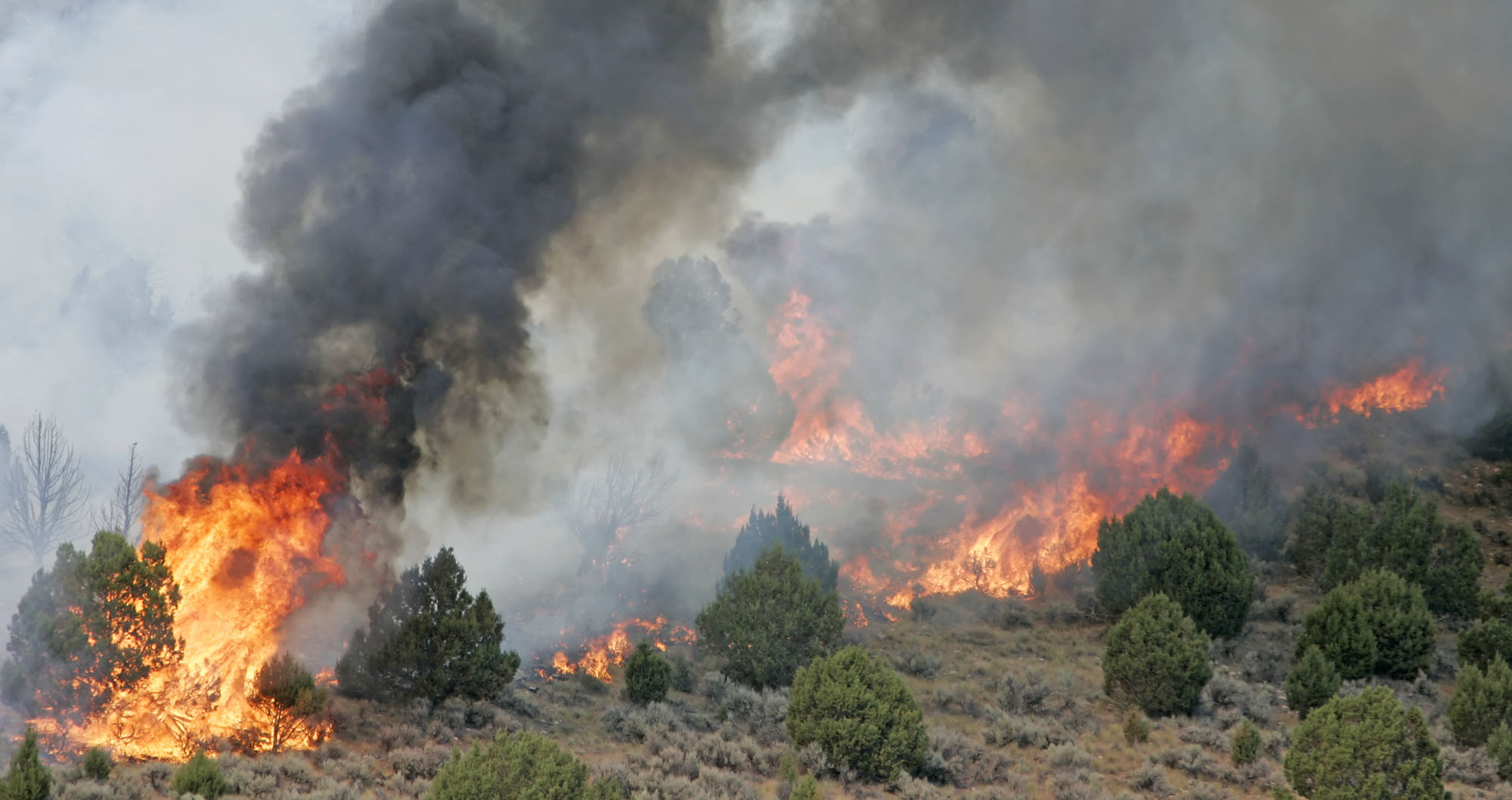 Utah Wildfire