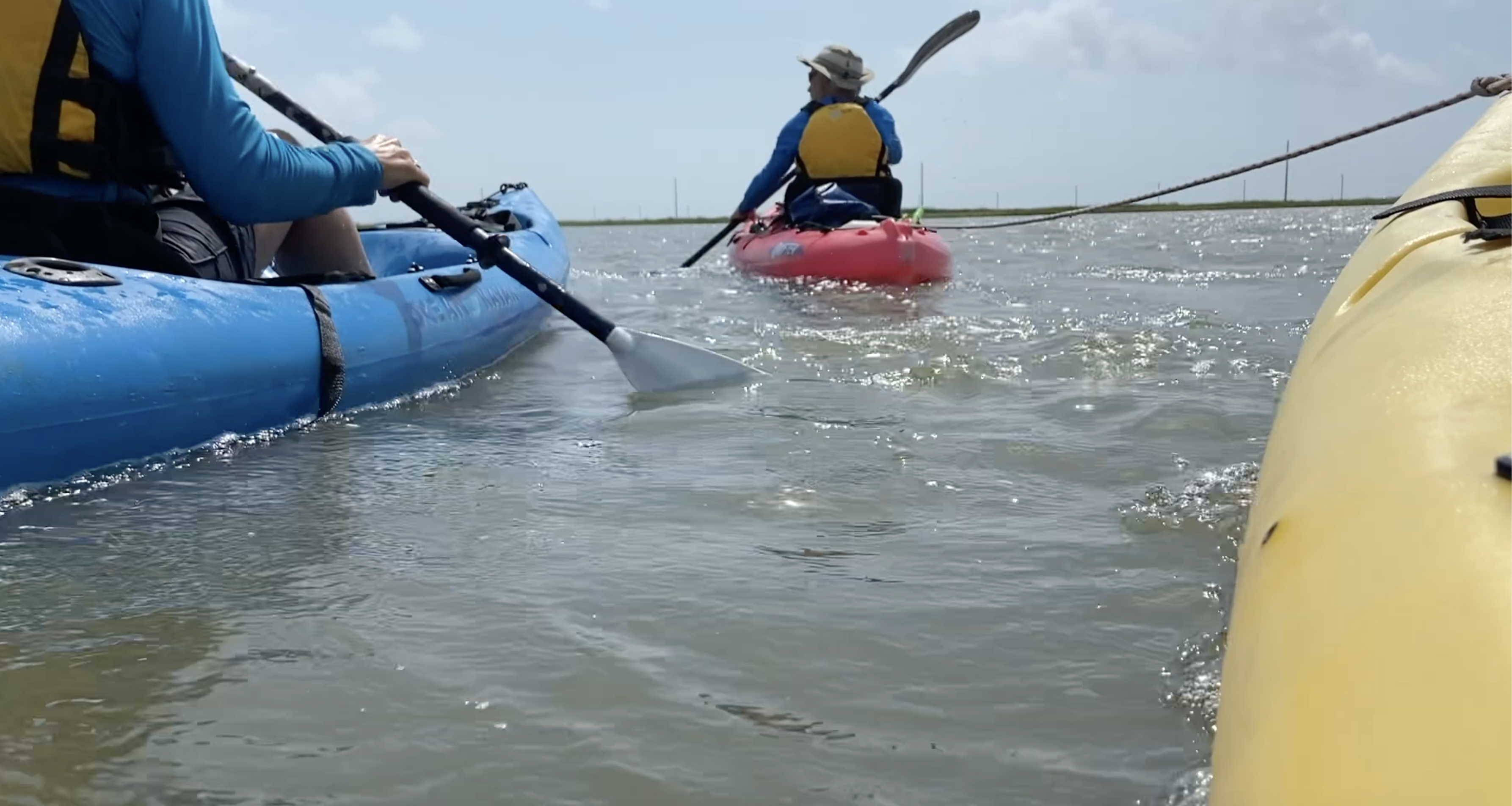 Nature Trails Kayaking