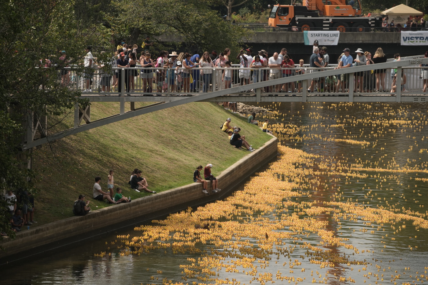 Duck race