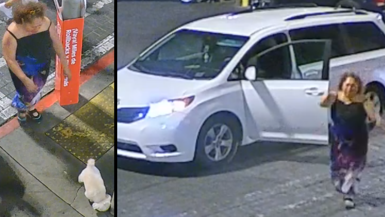 Las Vegas police searching for elderly woman's stolen service dog and suspect 