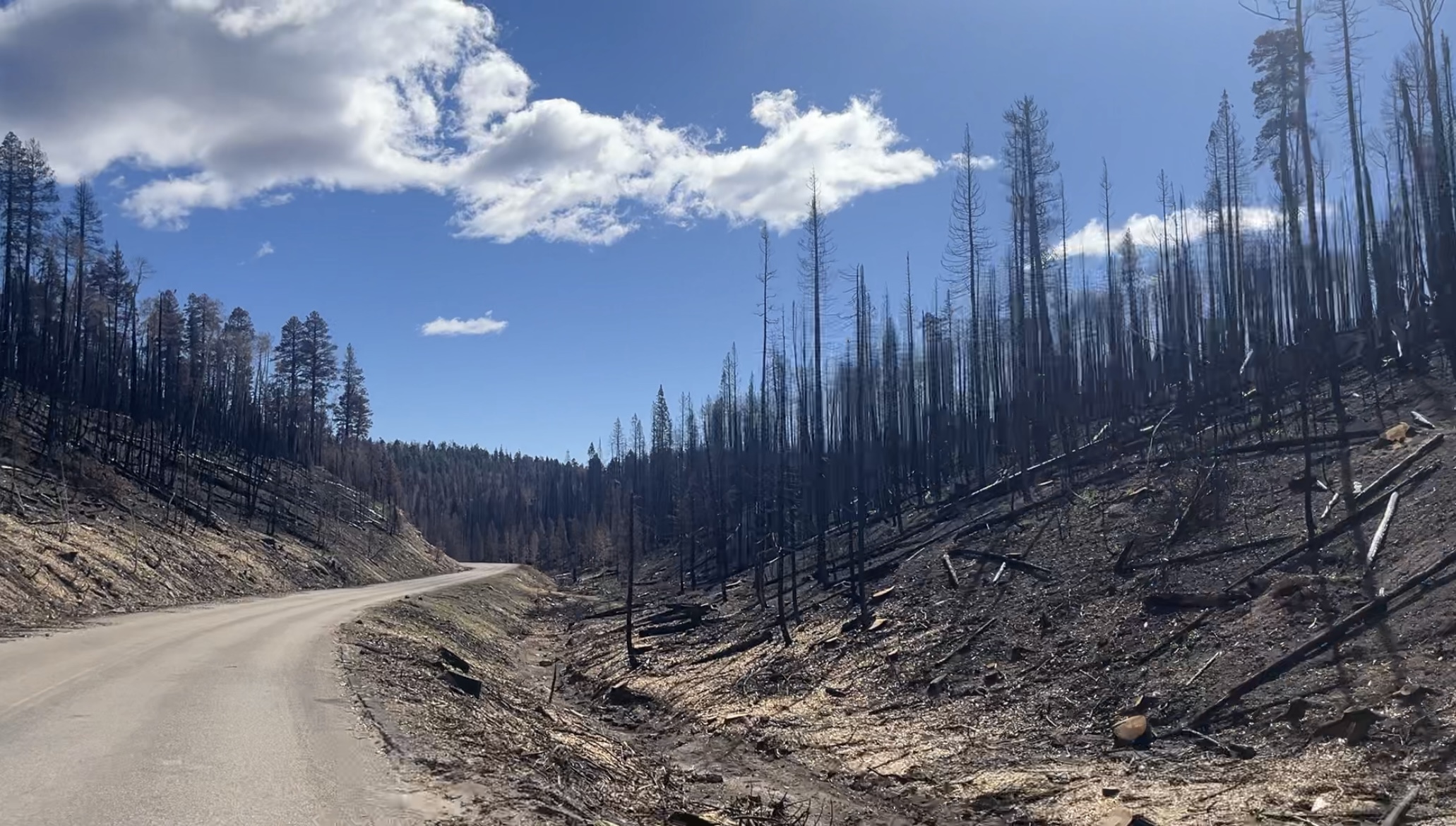 Grand Canyon north rim post-Dragon Bravo fire