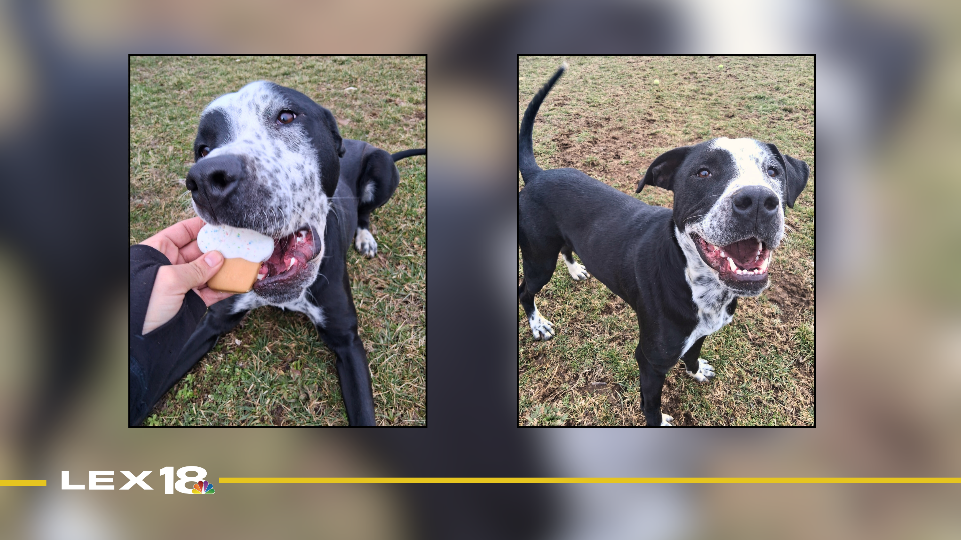 Featured Image Custom Edit (7).png