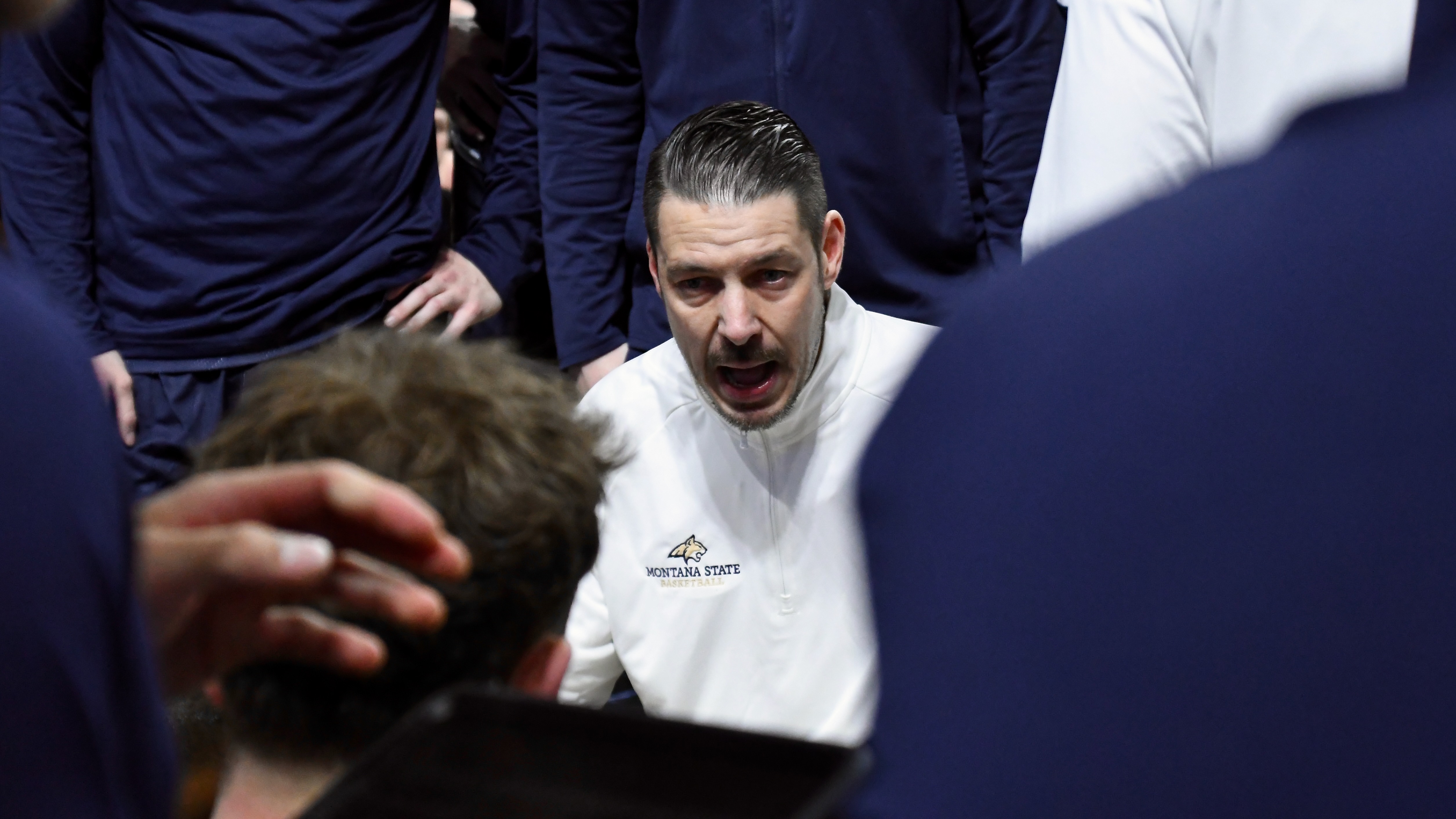 Montana State vs. Montana men's basketball