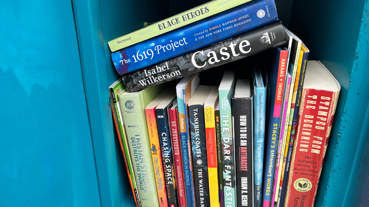 St. Pete little free libraries Stassy Olmos WFTS2.png