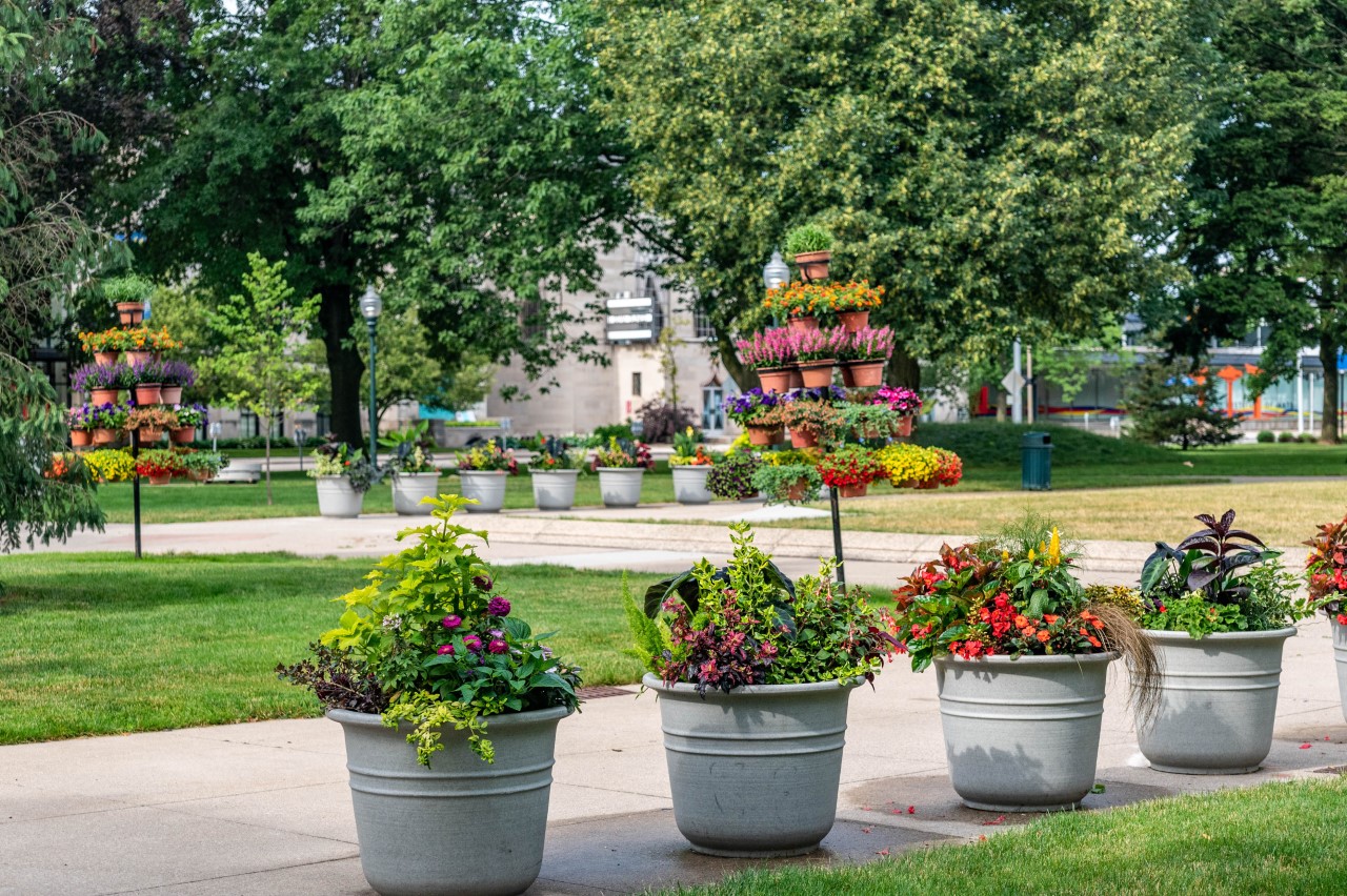 Kalamazoo in Bloom