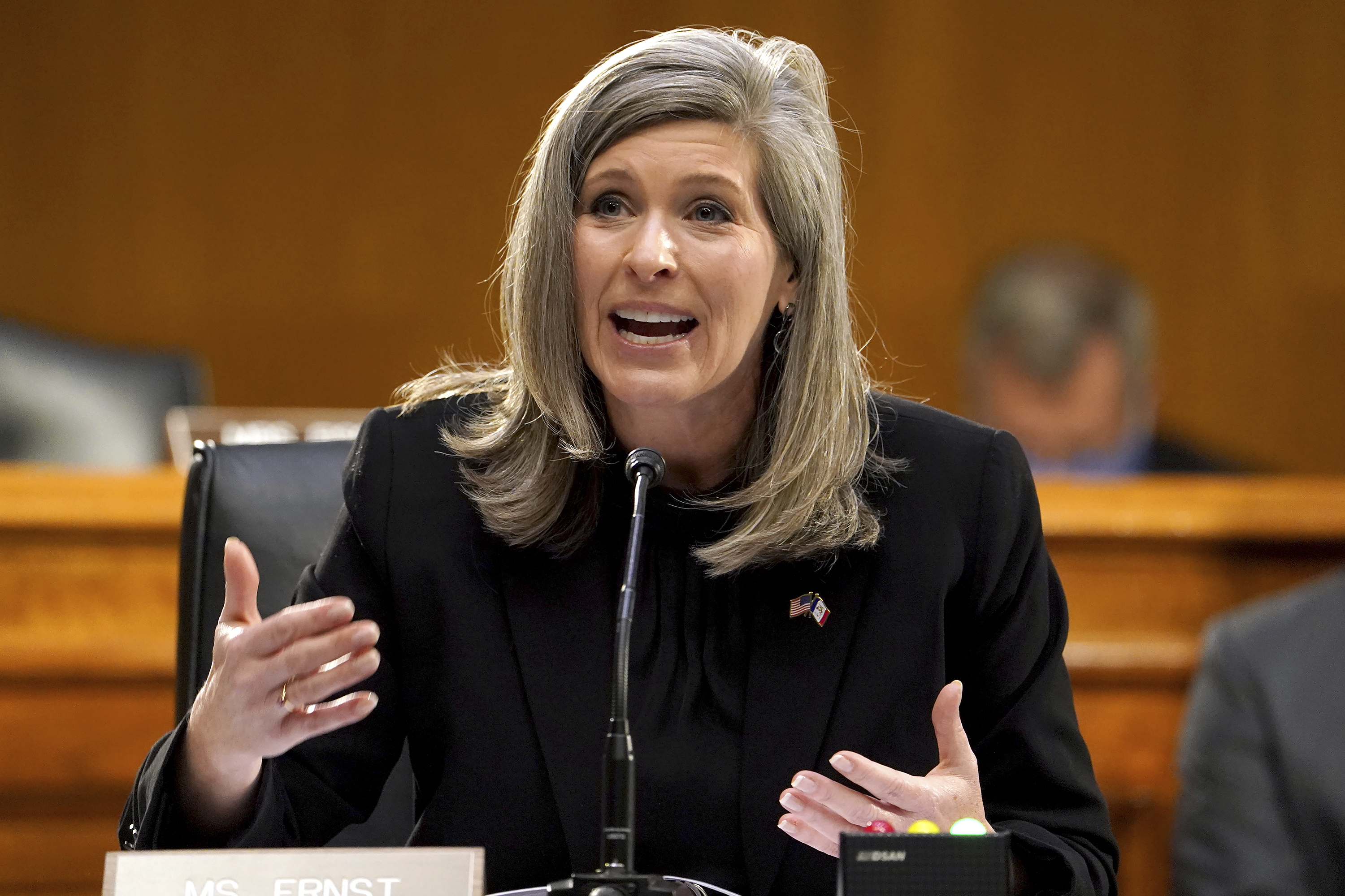 Joni Ernst