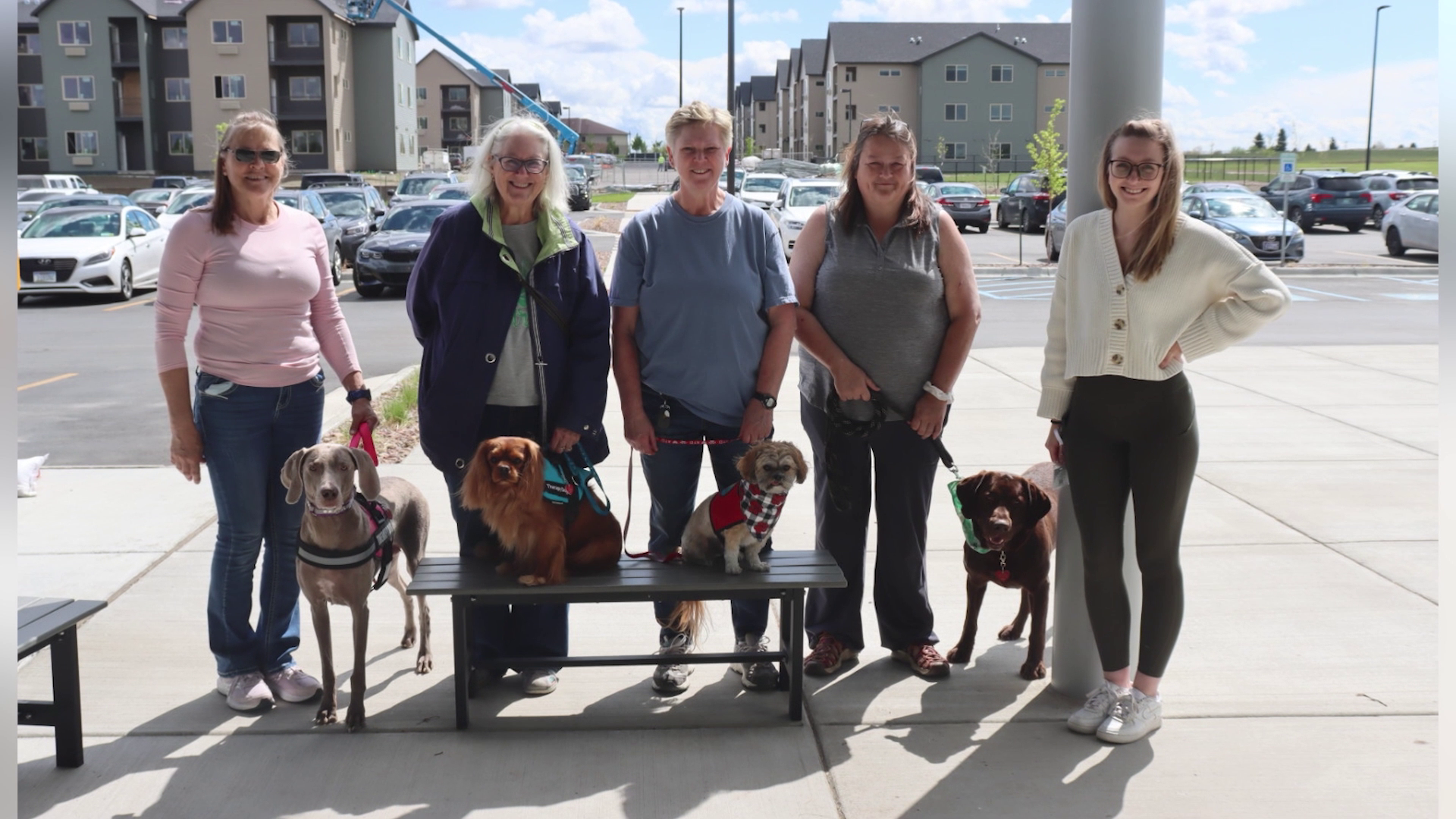 Pawsitive Impact: Alliance of Therapy Dogs