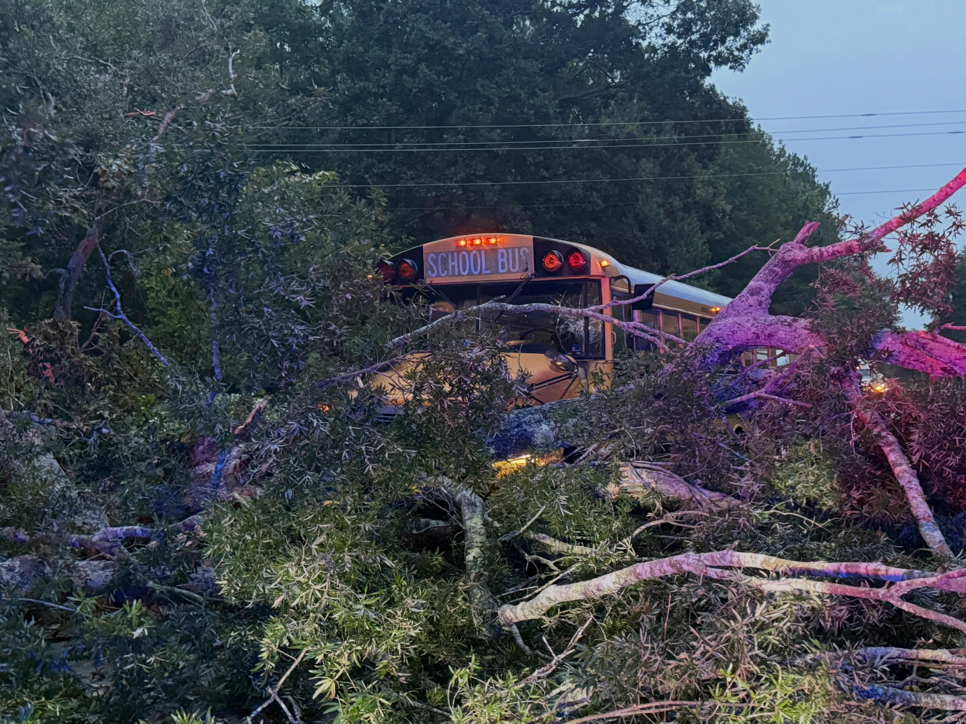 School bus driver injured after crashing into tree in Prince George