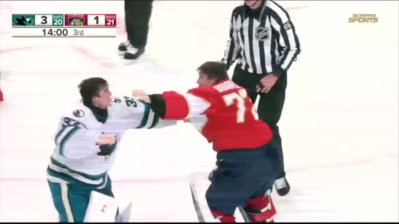 Goalie Fight