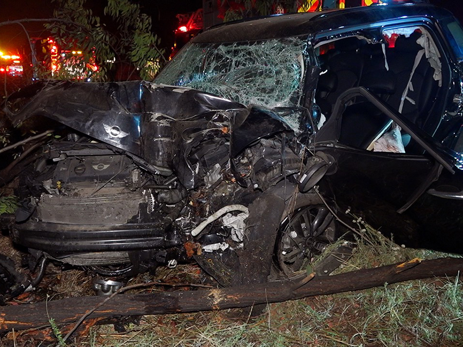 otay_mesa_rescue_072823.jpg
