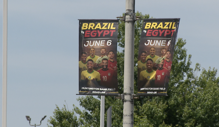 Brazil vs egypt 