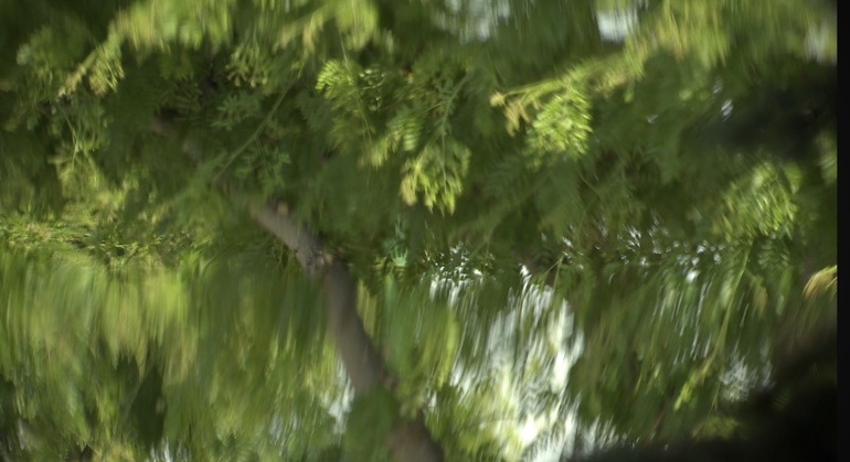 U.M. weather expert: Extreme heat events forecast - Vimarsana News