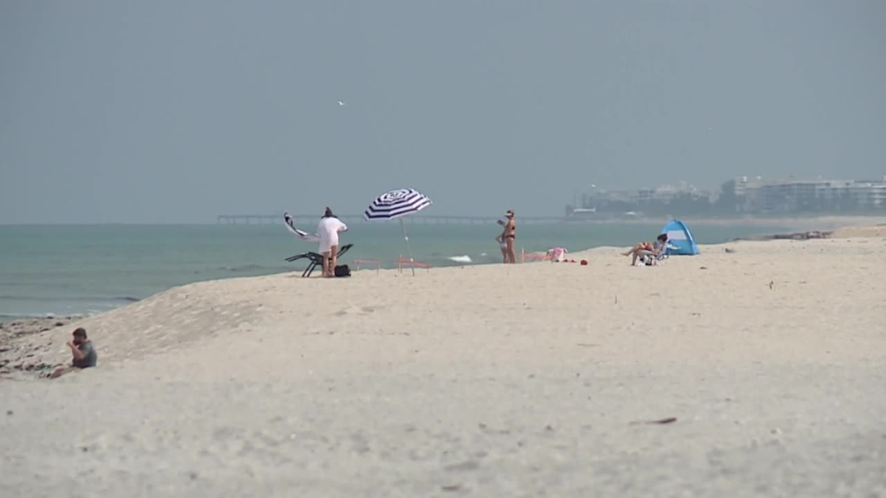 Palm Beach Umbrella