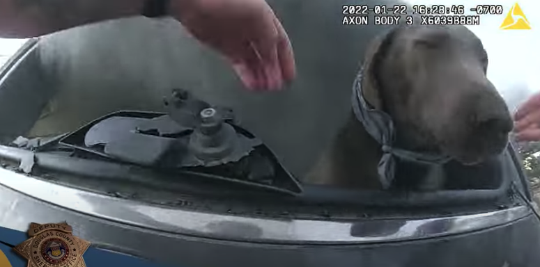 dog rescued from smoking car_Douglas County Sheriff's Office