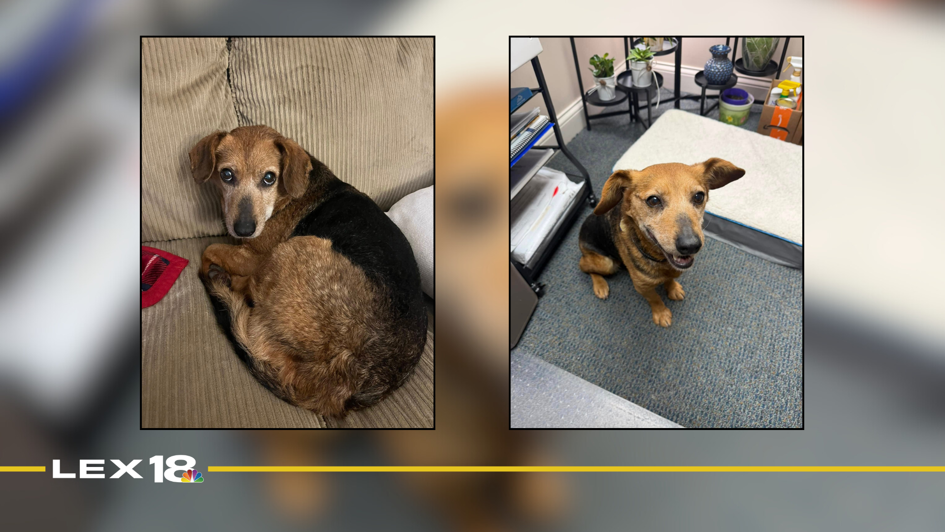 Featured Image Custom Edit (11).png