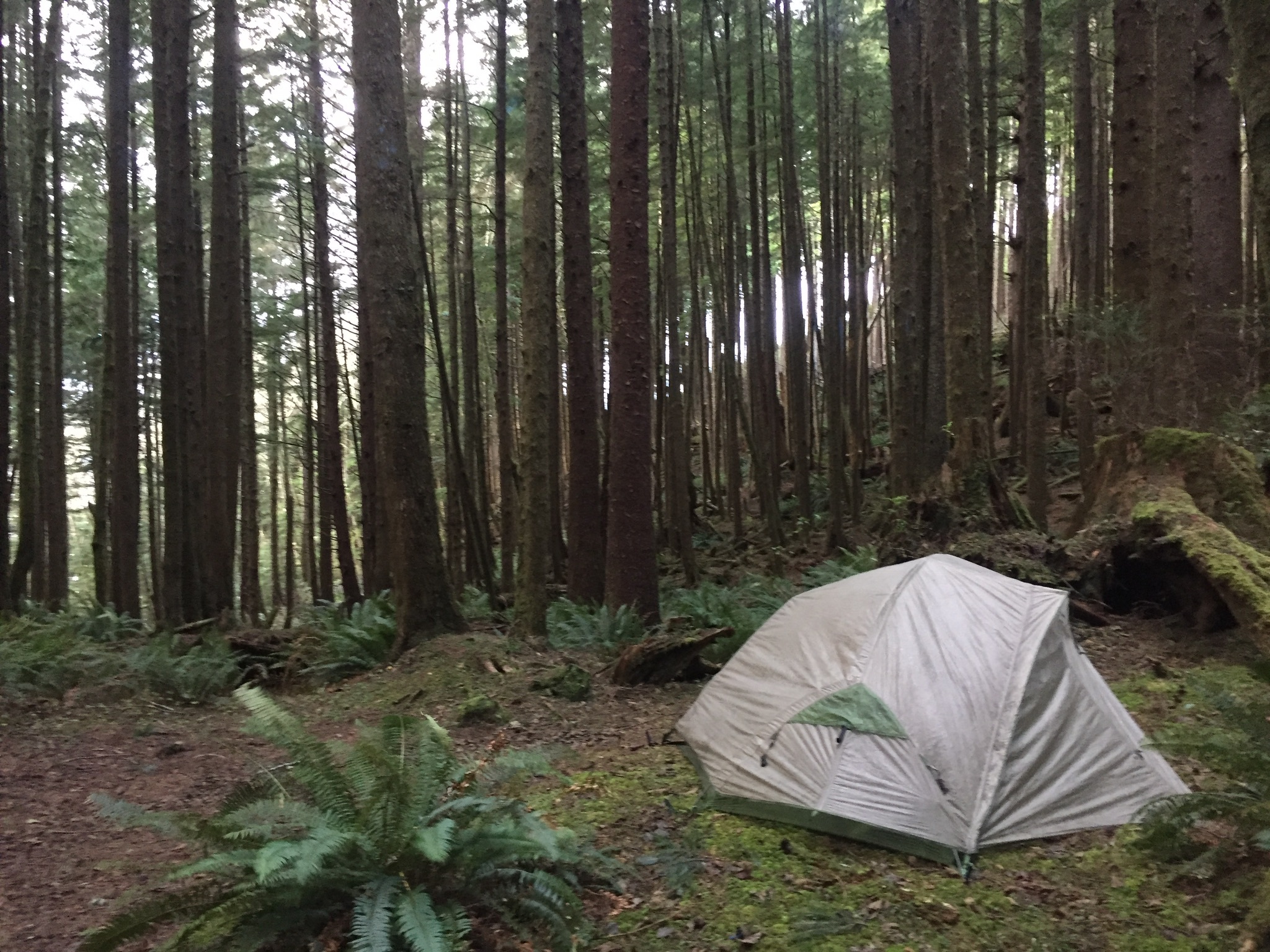 Tent