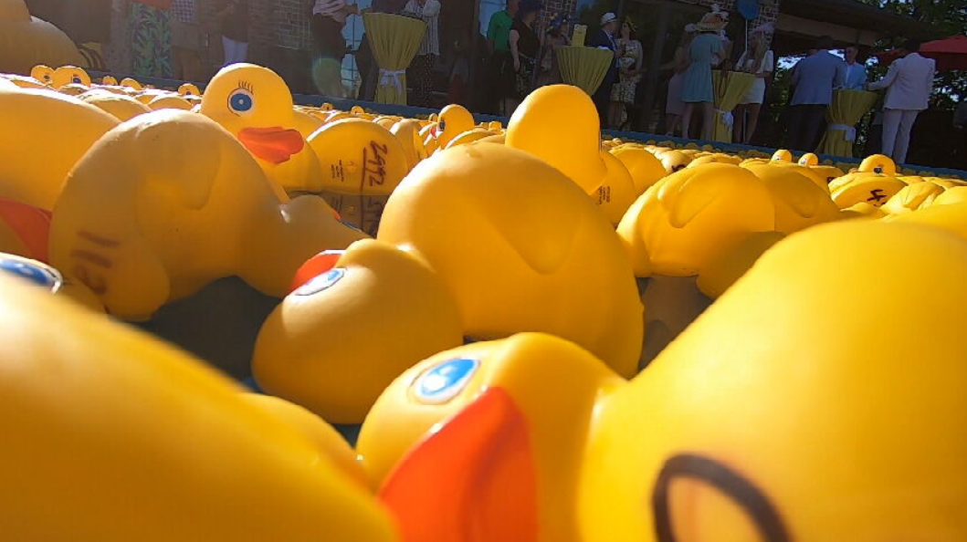 Wilson County celebrates 5th annual 'Ducky Derby'