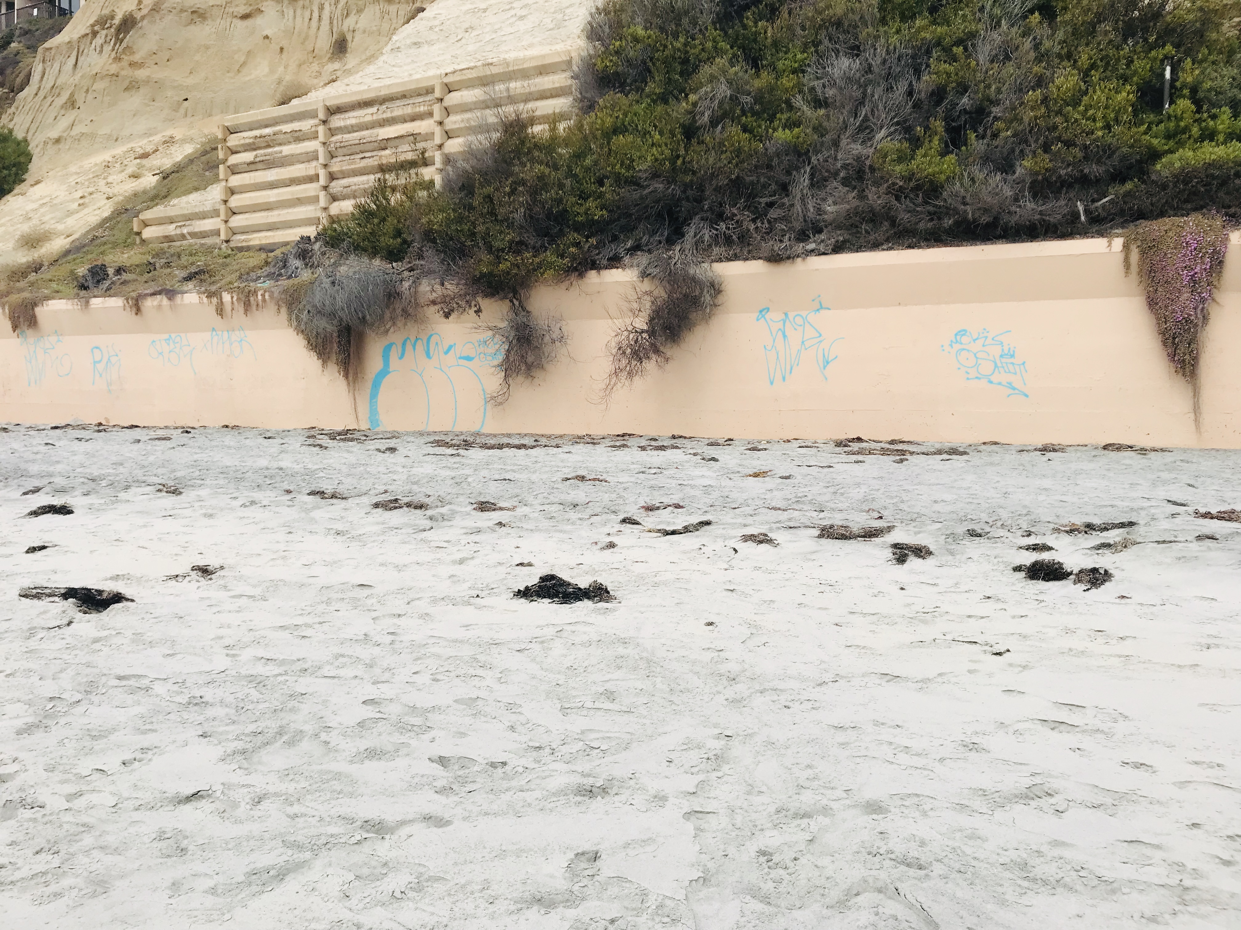 Solana Beach Graffiti.jpg