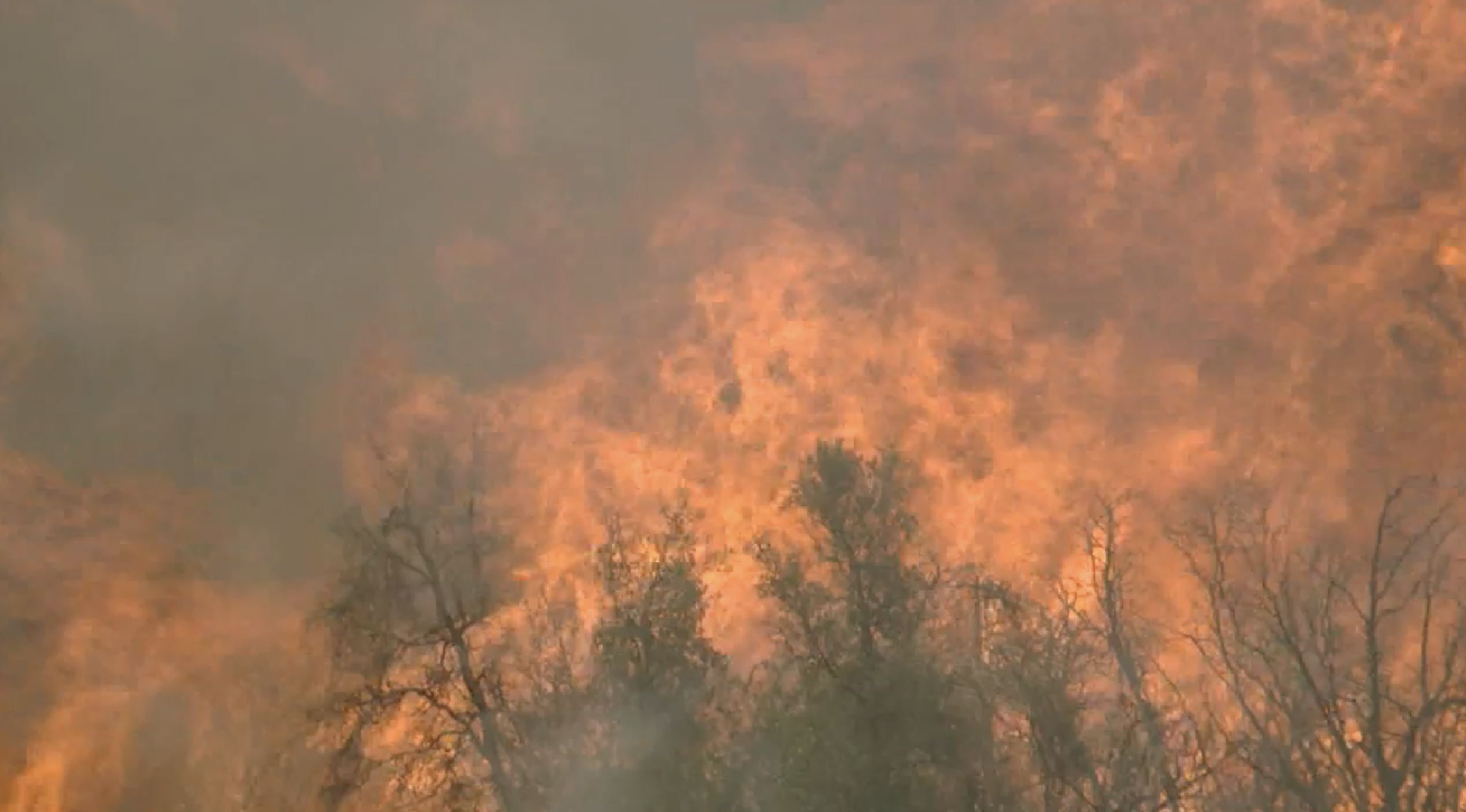 French Fire Aug. 20 2021