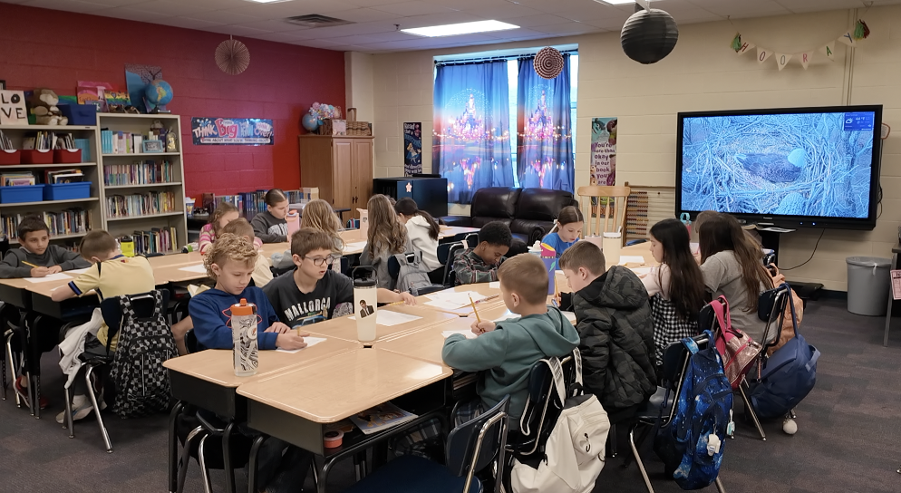 Blue Springs bald eagle cam becomes classroom tool for Grain Valley 5th graders