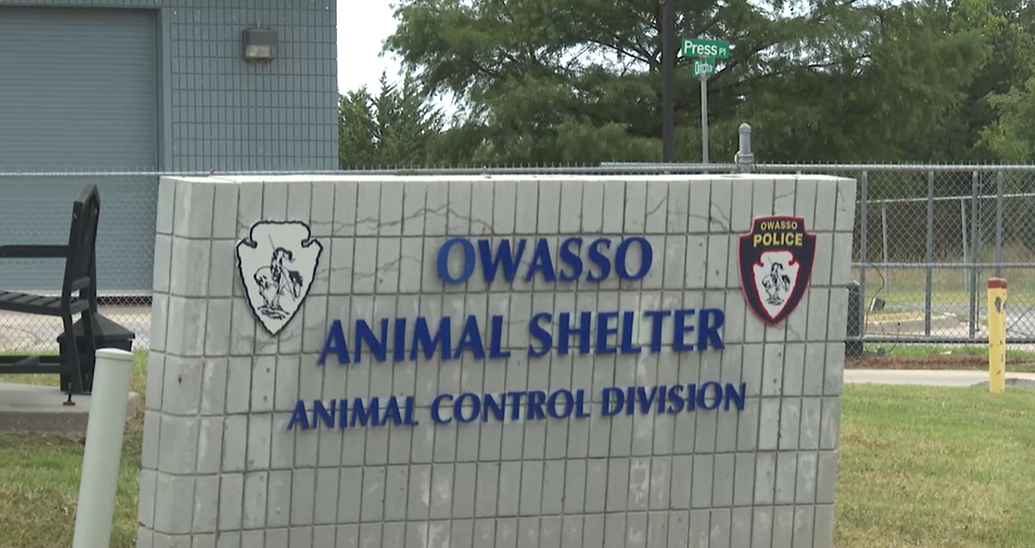 Progress at Owasso Animal Shelter following abuse allegations investigation