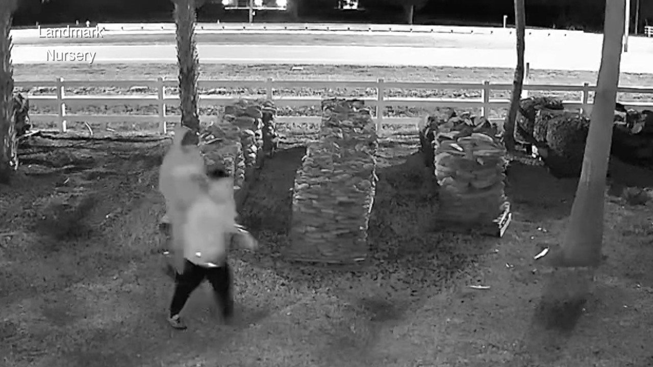 Waxler 530pm pkg Vandalism.jpg