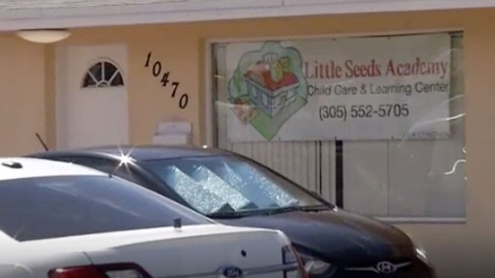 wptv-little-seeds-academy-.jpg