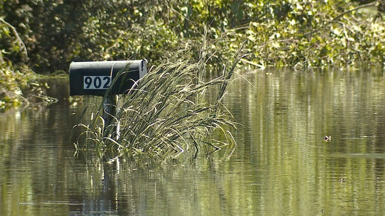 Hardee Co flooding 2.png