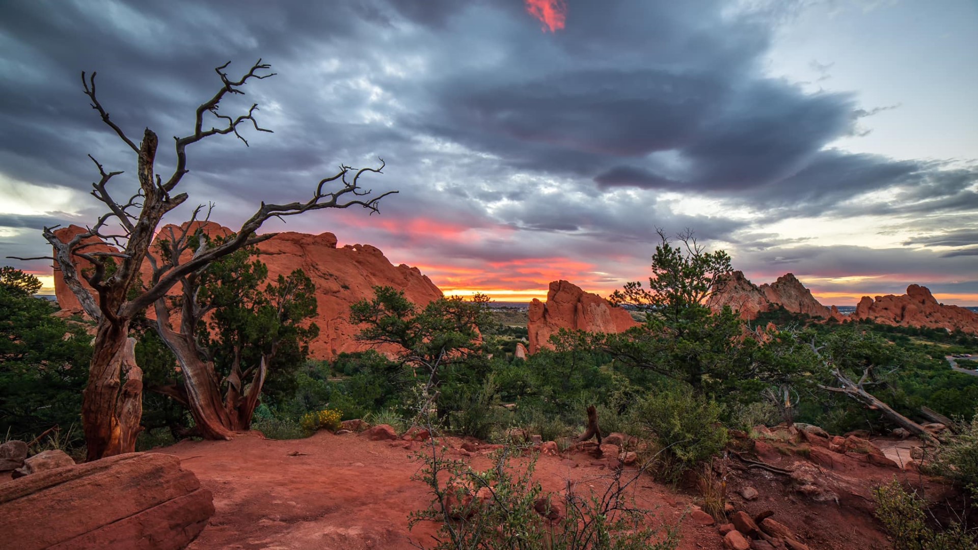 Garden of the Gods