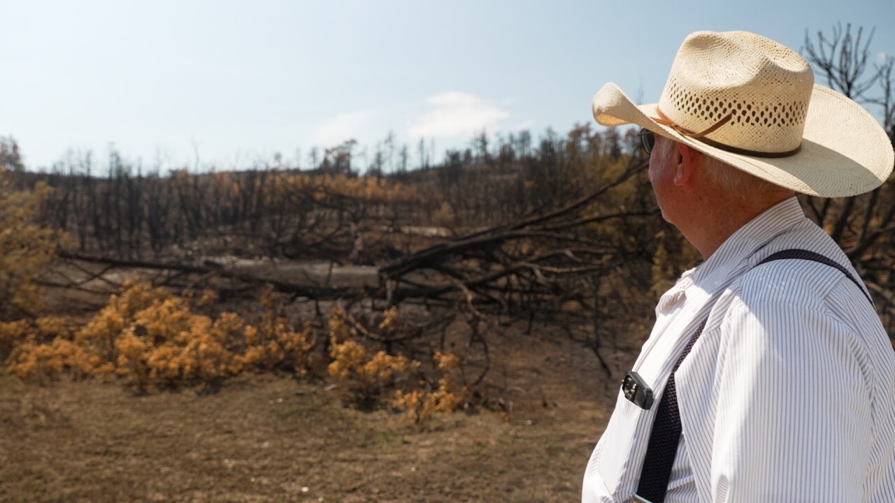 Mike Cox examines damage caused by the Aspen Acres fire in Colorado.
