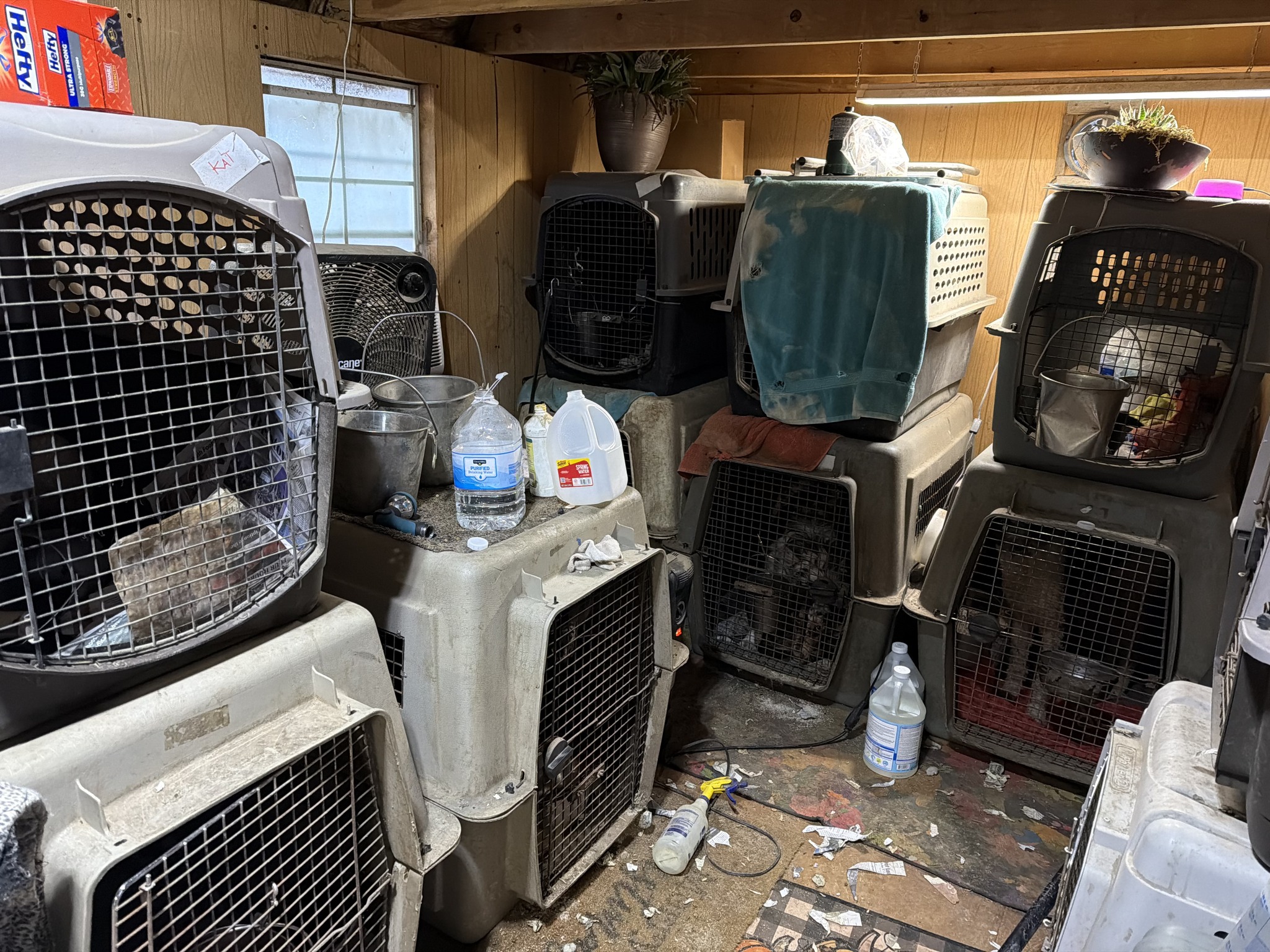 Animal Cruelty Case in Creek County