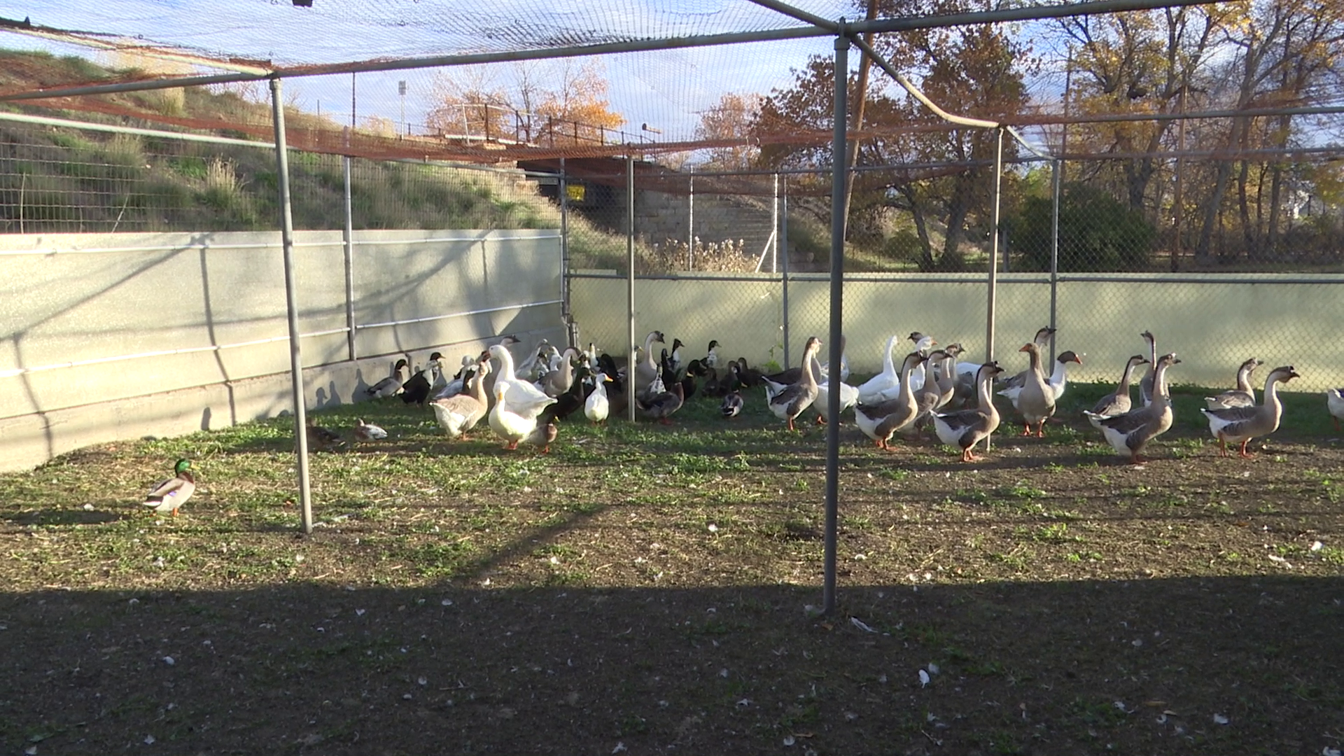 A look inside the 'Honker Hilton'