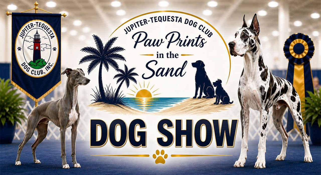 Paw Prints in the Sand 