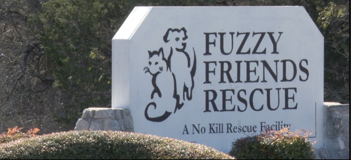 Fuzzy Friends Rescue 