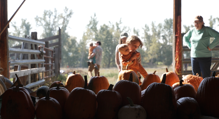 Poverello annual pumpkin fundraiser 