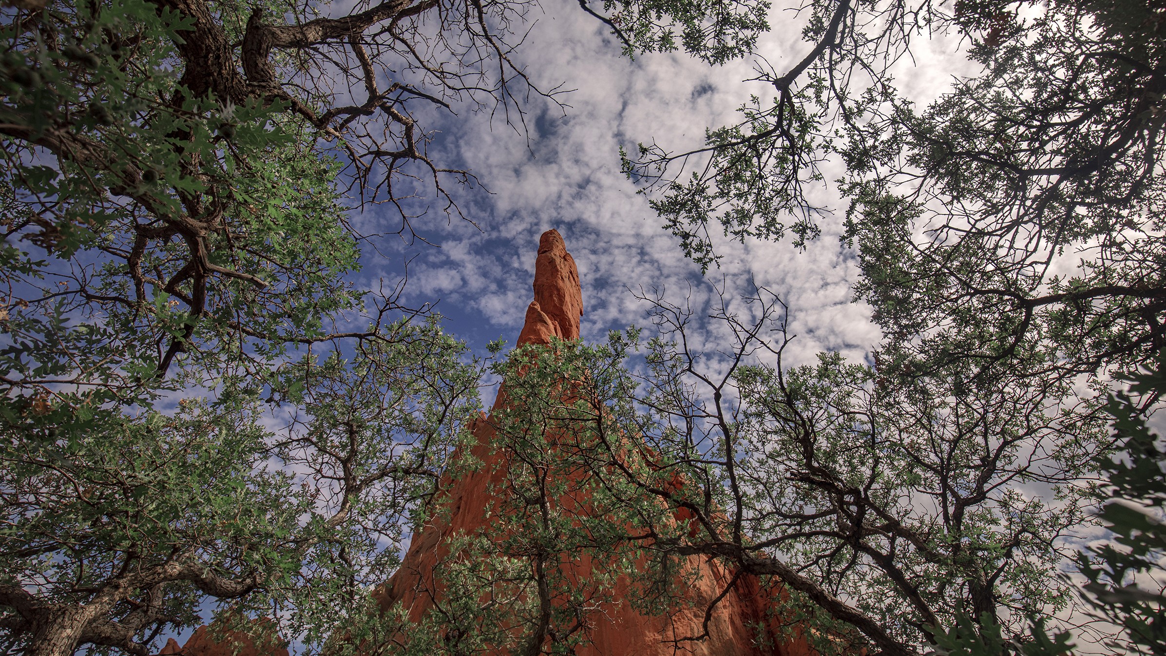 Garden of the Gods Peter Schwepker