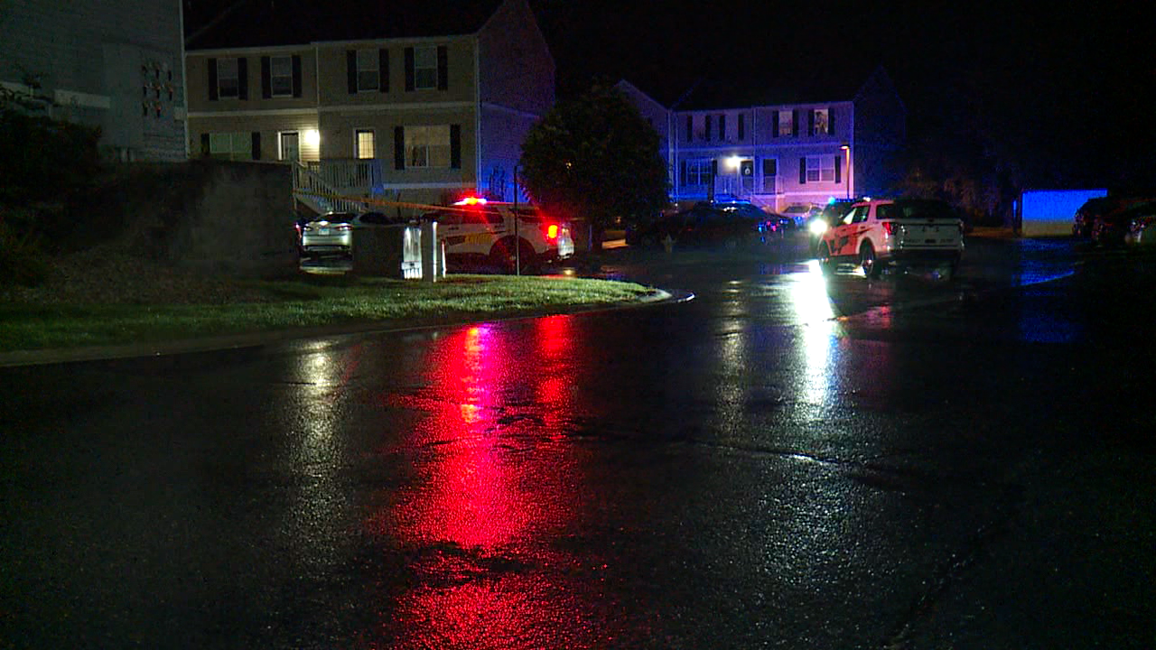 Canvas shooting scene.png