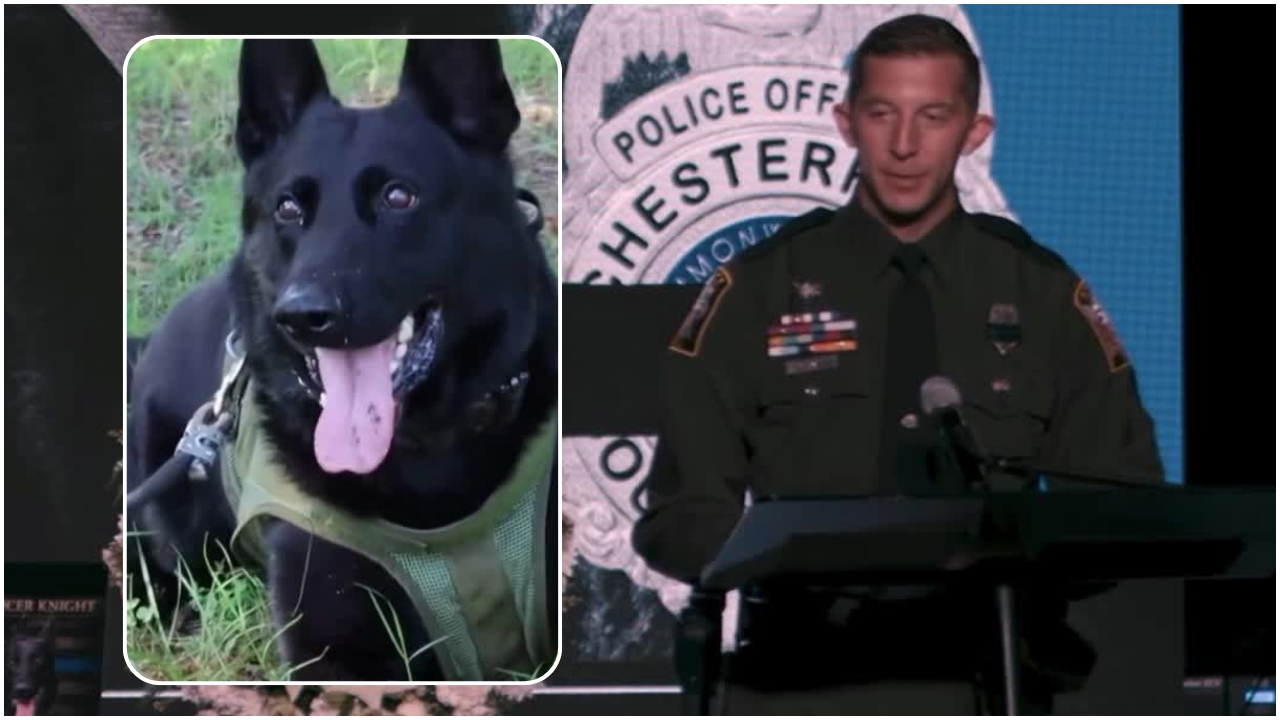 Remembering Knight: Chesterfield honors K-9 who 'laid down his life so we could live'