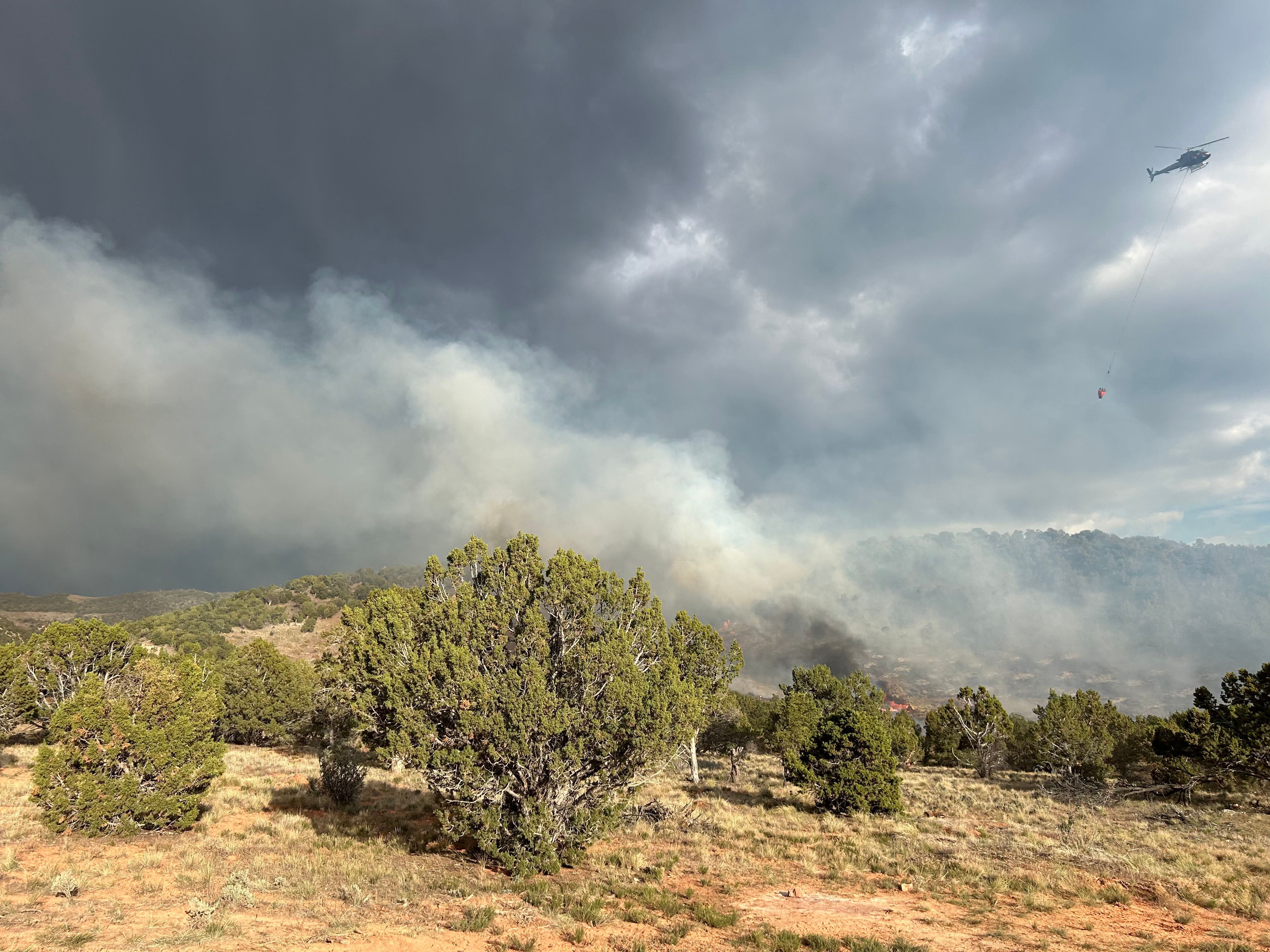 Christy Lane Fire.jpg