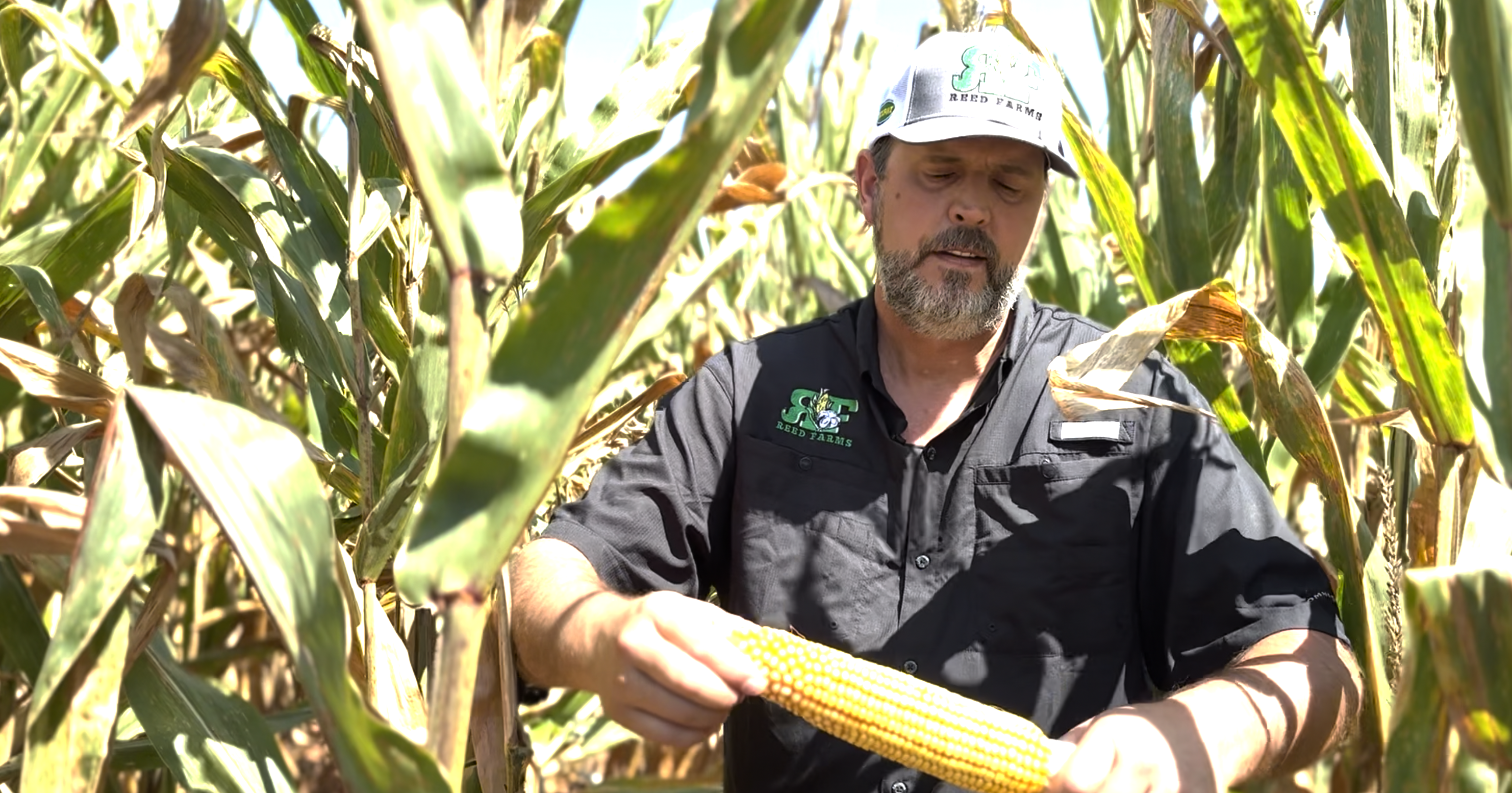 Eric Reed corn