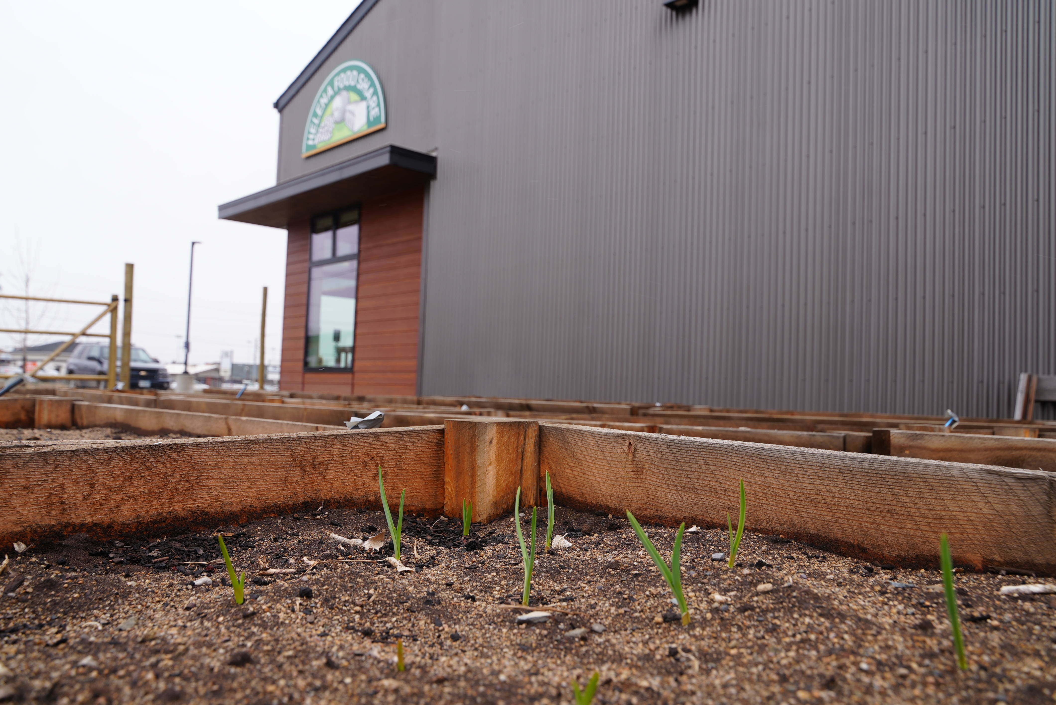 helena food share garden