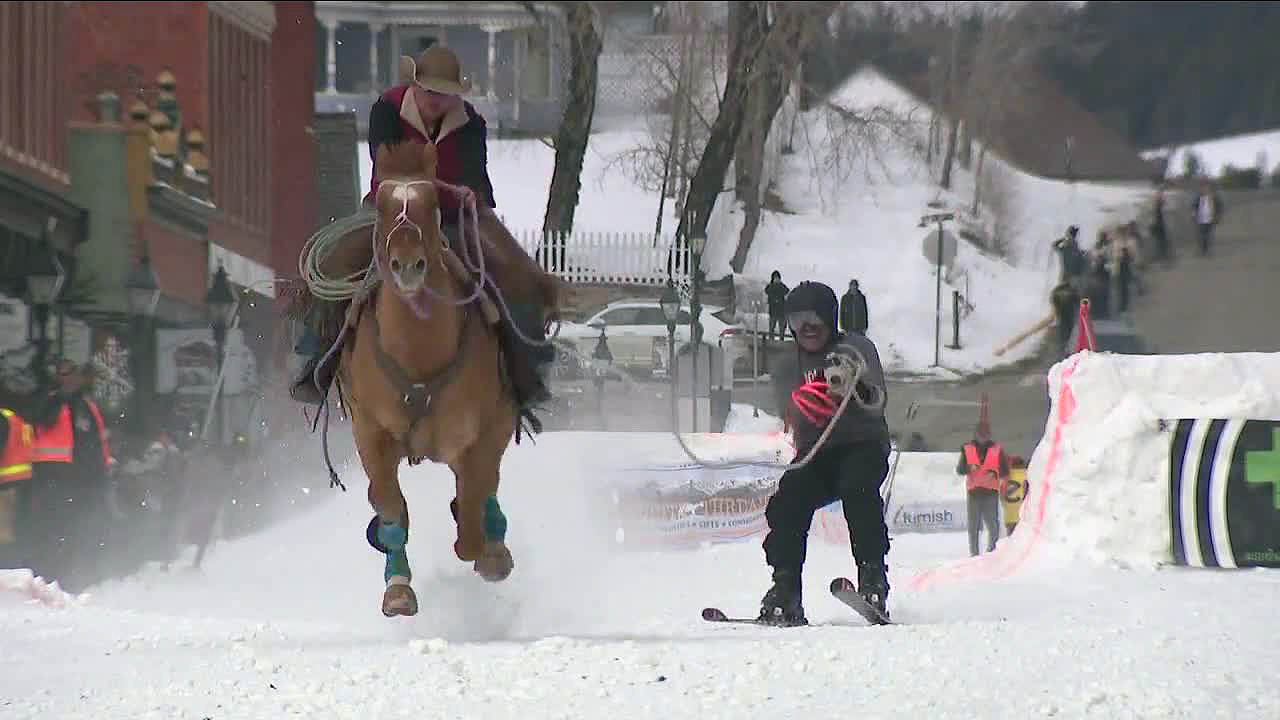 skijoring.png