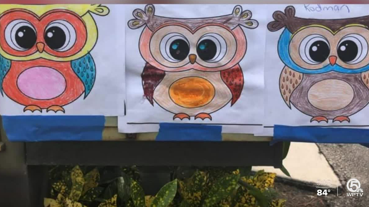 wptv-Binks-Forest-Elementary-owls.jpg