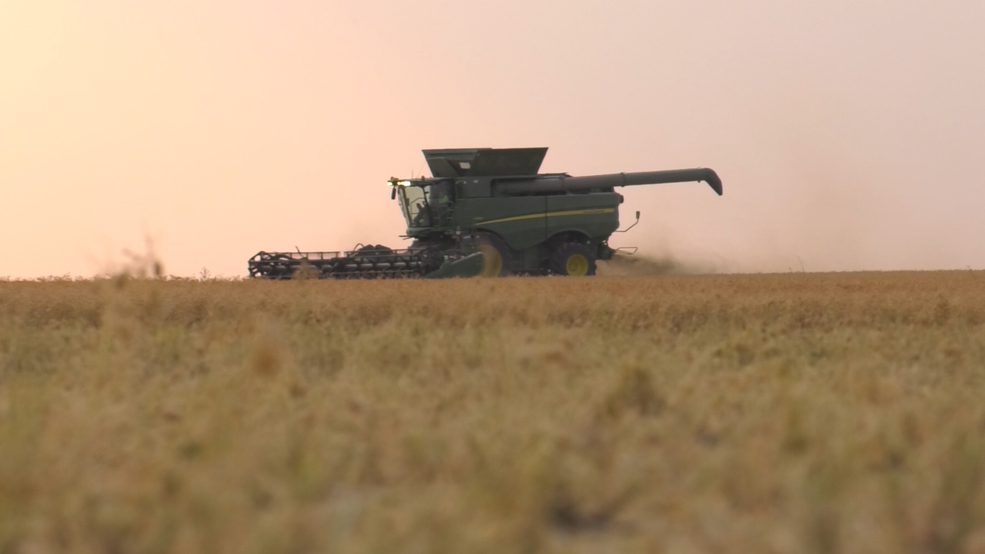 Grain Combine 
