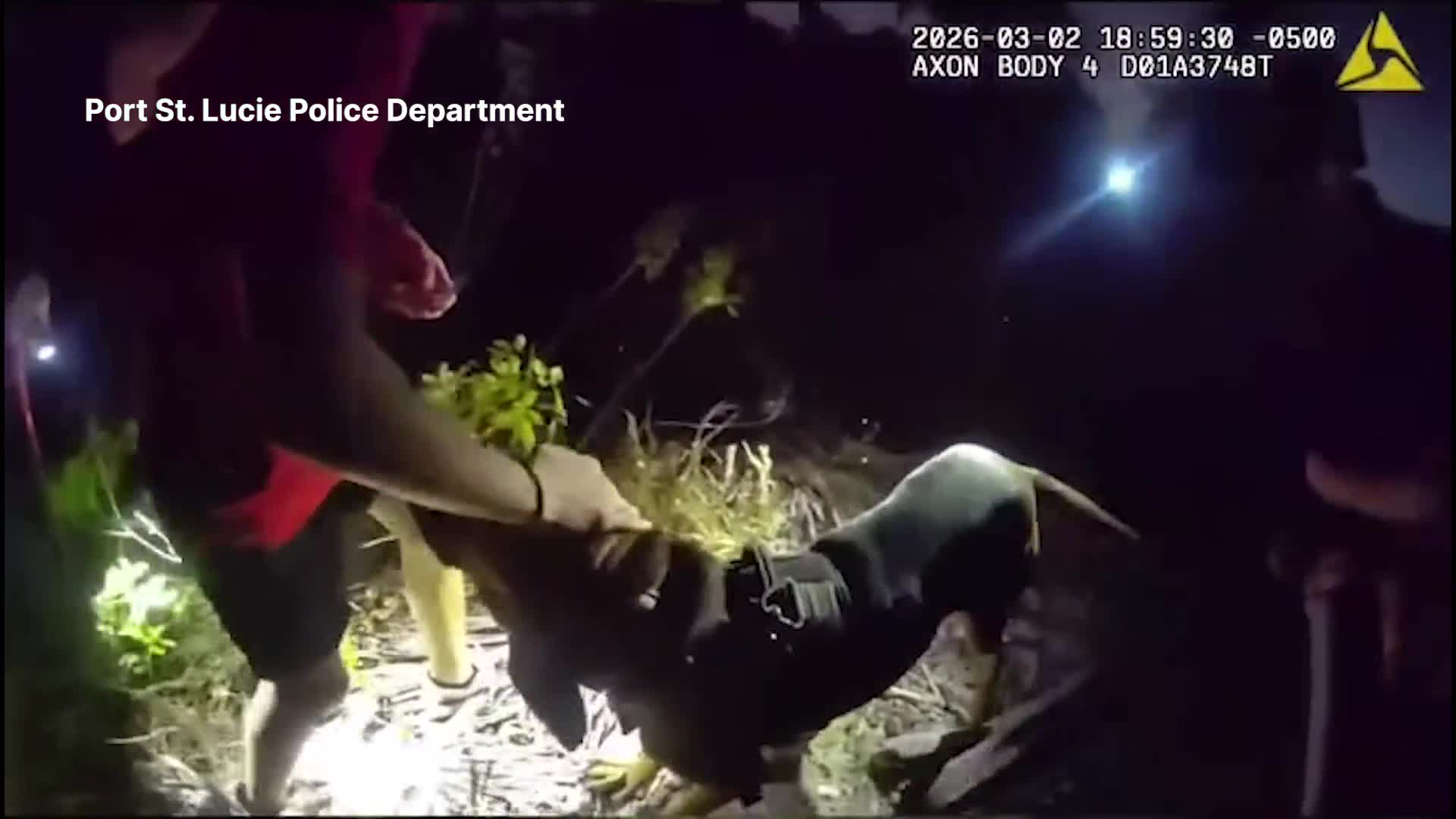 Bloodhounds used to find missing 13-year-old child with autism: Police