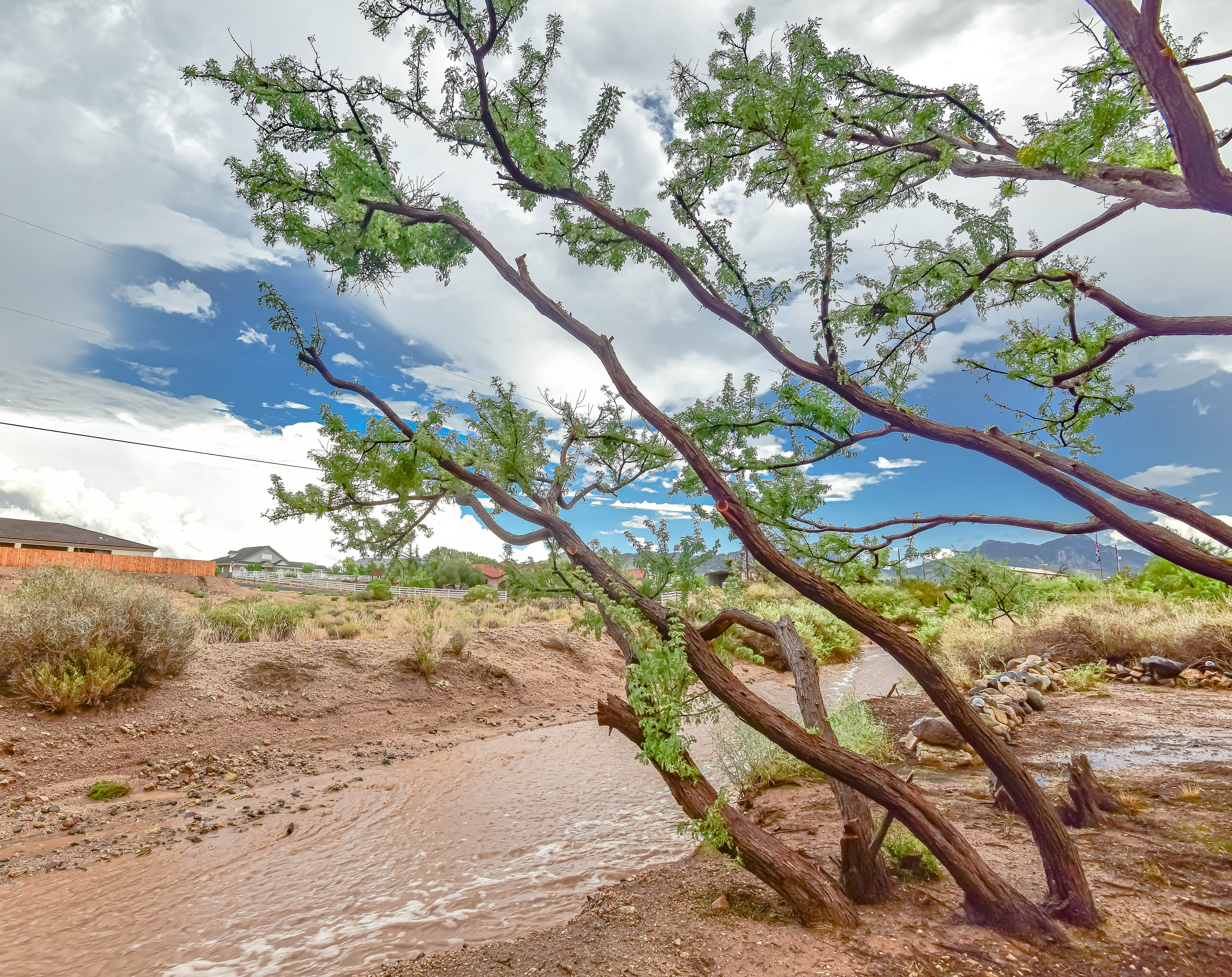 Mohave_County_Flooding_Ric_Aschle1.jpg