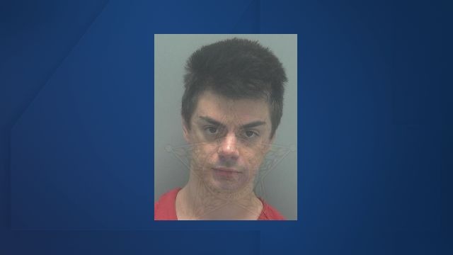 Late night Cape Coral hit and run crash 